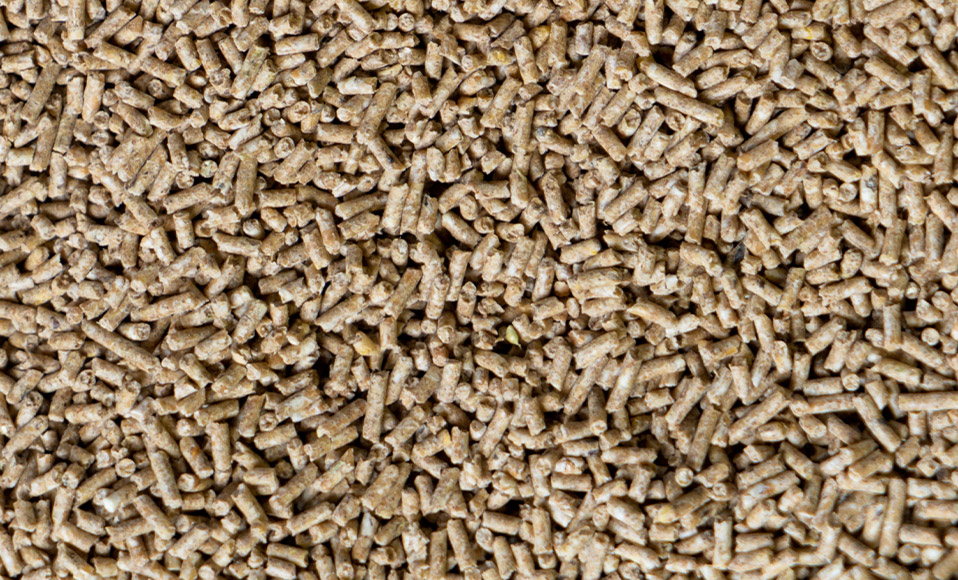 Полнорационный комбикорм